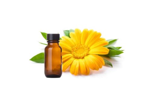 Calendula Essential Oil