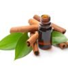 Cinnamon Leaf Essential Oil