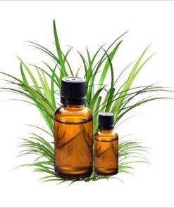 Citronella Essential Oil