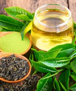 Green Tea Natural Extracts