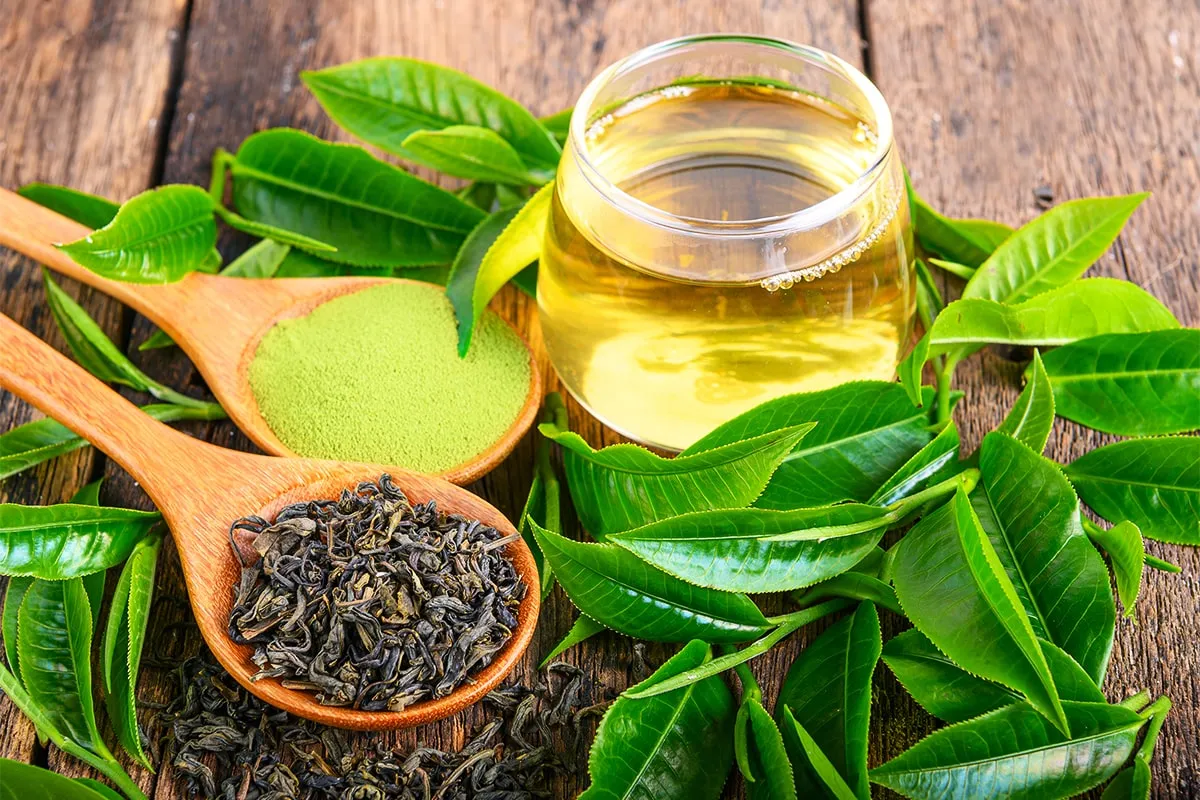 Vedini Green Tea Natural Extracts By Vedini | JINDEAL INC