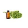May Chang (Litsea Cubeba) Essential Oil