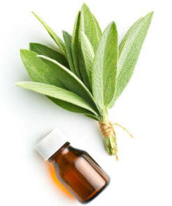 Sage (Spanish) Essential Oil