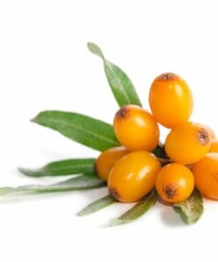 Seabuckthorn Natural Extracts