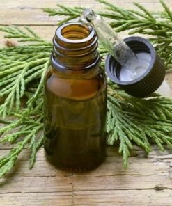 Cypress Hydrosol
