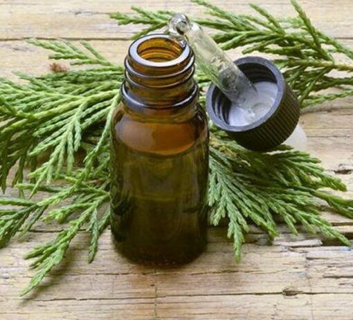 Cypress Hydrosol