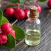 Wintergreen Essential Oil