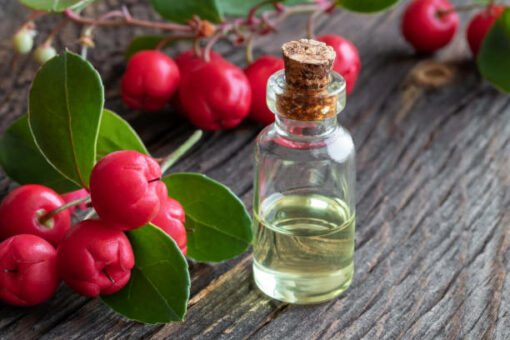 Wintergreen Essential Oil