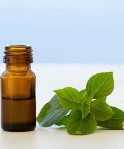 Basil Essential Oil