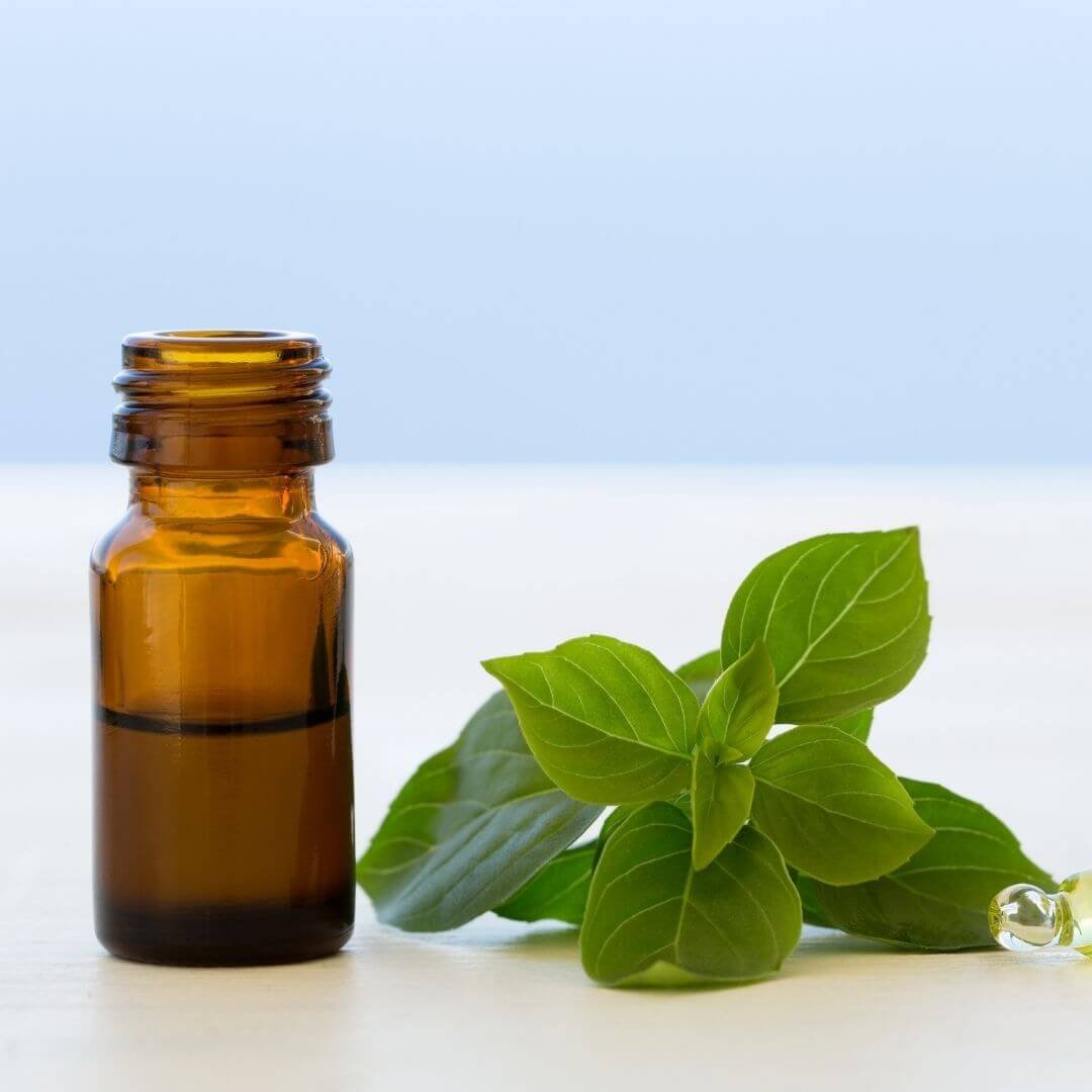 Basil Essential Oil