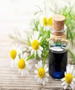 Chamomile Blue Essential Oil