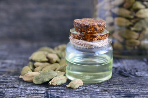 Cardamom Essential Oil