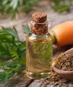 Carrot Seed Essential Oil