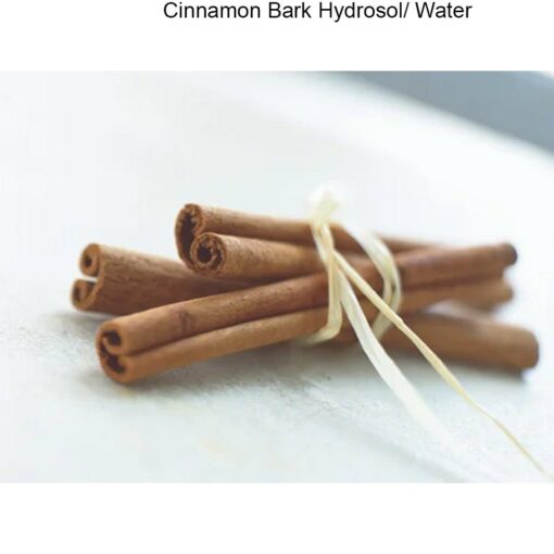 Cinnamon Bark Hydrosol