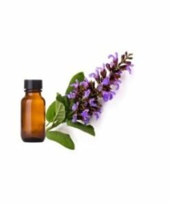 Clary Sage Essential Oil