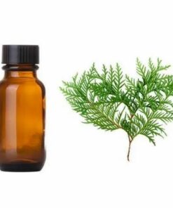 Cypress Essential Oil