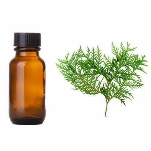 Cypress Essential Oil