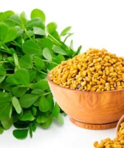 Fenugreek Natural Extracts