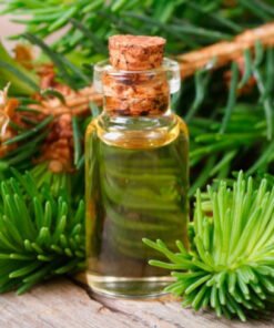 Fir Needle Essential Oil