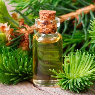 Fir Needle Essential Oil