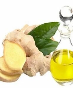 Ginger Essential Oil