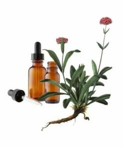 Jatamansi (Spikenard) Essential Oil