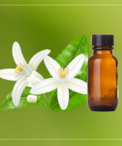 Neroli Essential Oil