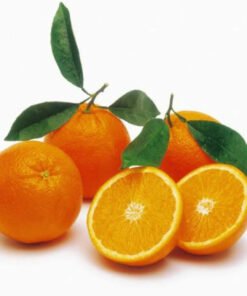 Orange Hydrosol