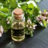 Oregano Hydrosol