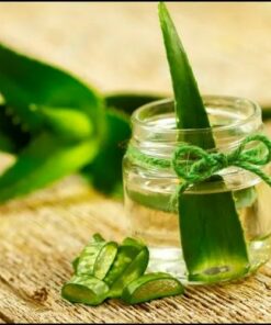 Aloe Vera Natural Extracts