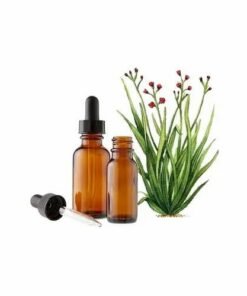 Palmarosa Essential Oil