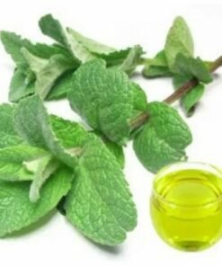Peppermint Hydrosol