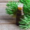 Pine Essential Oil