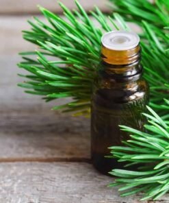 Pine Essential Oil