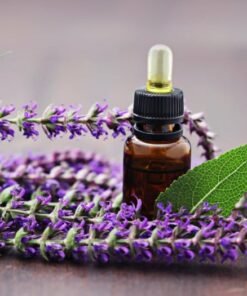 Sage Essential Oil
