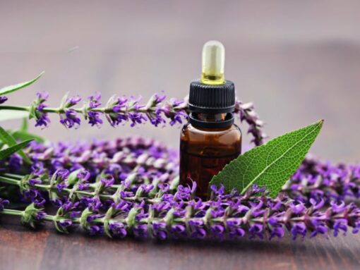 Sage Essential Oil
