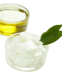 Shea Oil