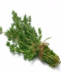 Thyme Hydrosol
