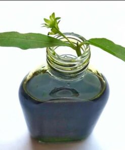 Bhringraj Natural Extracts