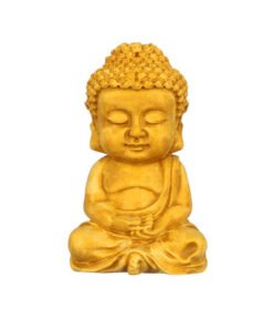 Buddha statue shape Mold