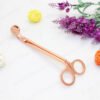 Wick Scissors