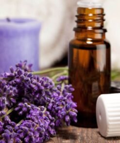 Lavender Kashmir Fragrance oil