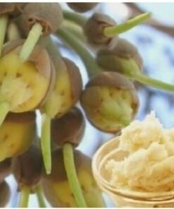 Mowrah Butter Unrefined