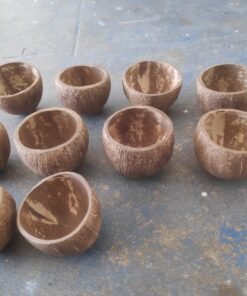 Coconut Shell Bowl Halves