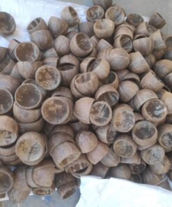 Alternative view of Coconut Shell Bowl Halves Natural Creative Eco-Friendly Reusable Matt Finish Dispatch after 6 days