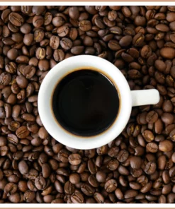 Hazelnut Coffee Fragrance Oil