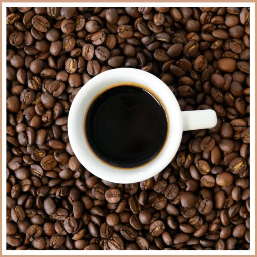 Hazelnut Coffee Fragrance Oil