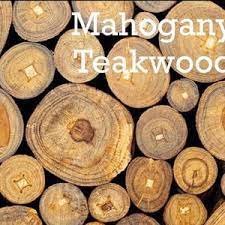 Mahogany Teakwood Fragrance Oil