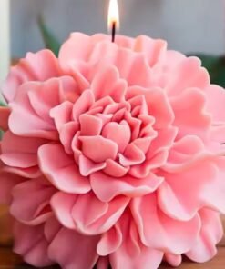Vedini Carnation Big WCM692