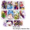 Dry Flowers Assorted Box